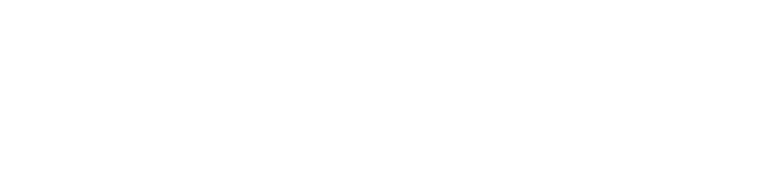 FEIZI Logo